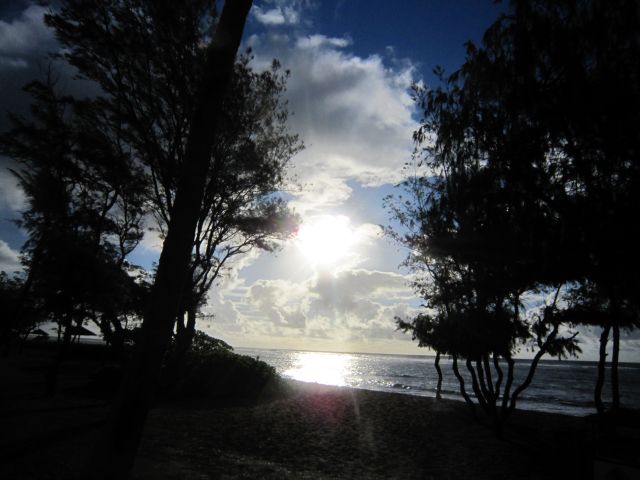 IMG 0476 copy